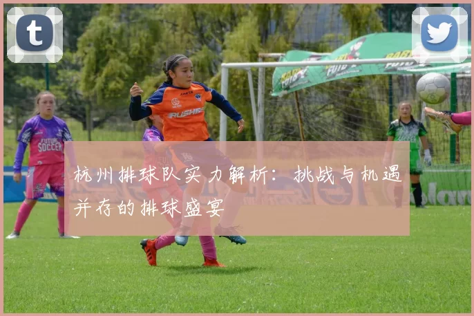 杭州排球队实力解析：挑战与机遇并存的排球盛宴