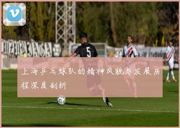 上海乒乓球队的精神风貌与发展历程深度剖析