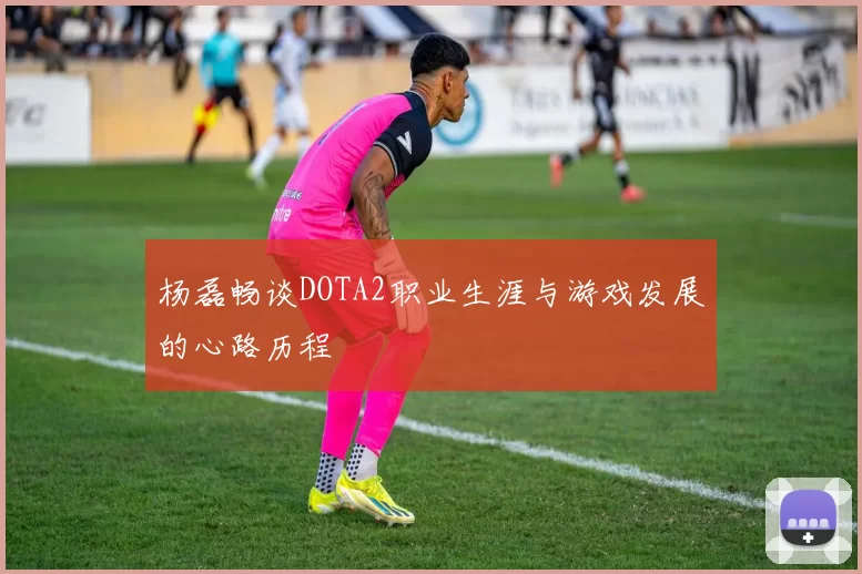 杨磊畅谈DOTA2职业生涯与游戏发展的心路历程