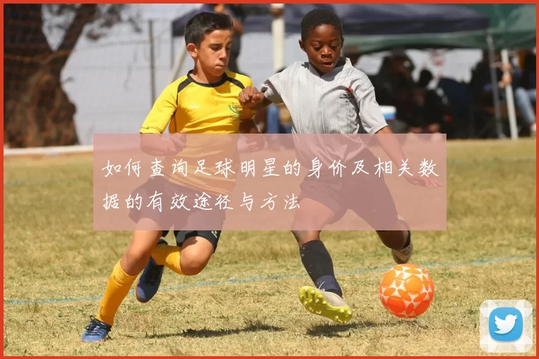 如何查询足球明星的身价及相关数据的有效途径与方法