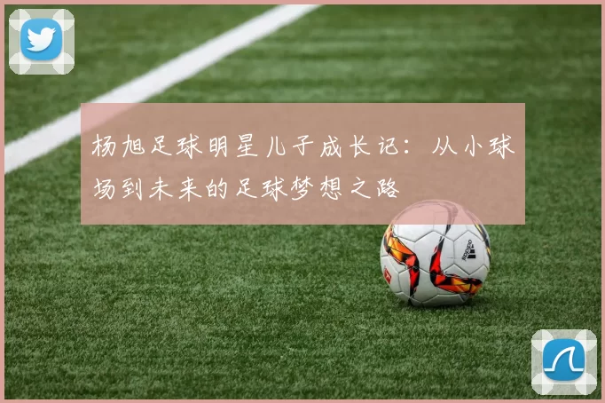 杨旭足球明星儿子成长记：从小球场到未来的足球梦想之路
