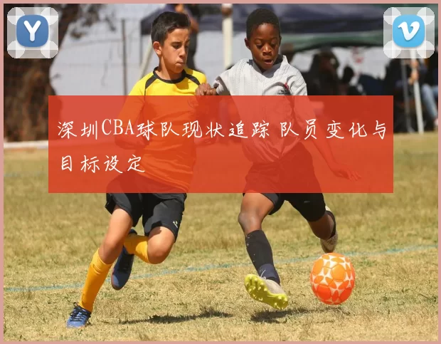 深圳CBA球队现状追踪 队员变化与目标设定