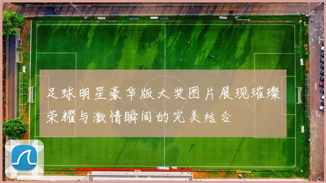 足球明星豪华版大奖图片展现璀璨荣耀与激情瞬间的完美结合