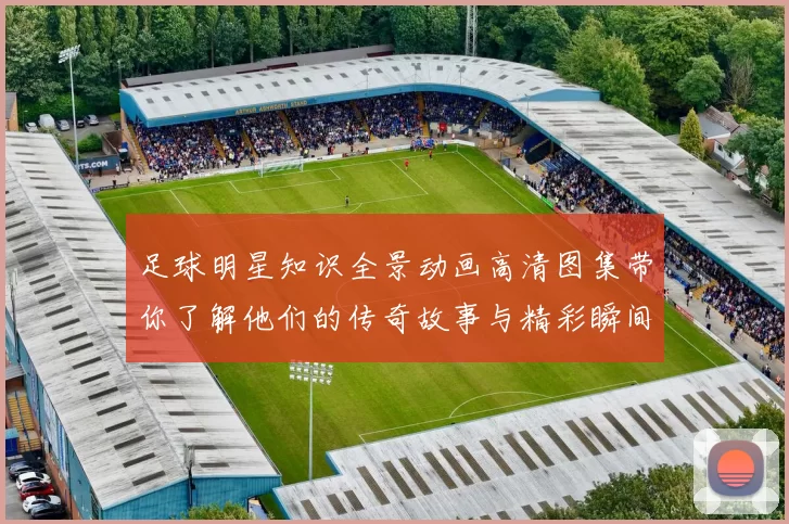 足球明星知识全景动画高清图集带你了解他们的传奇故事与精彩瞬间