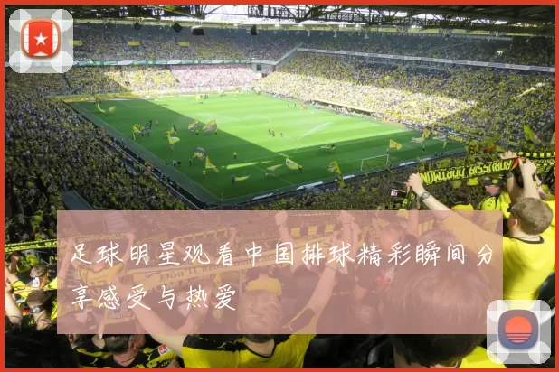 足球明星观看中国排球精彩瞬间分享感受与热爱