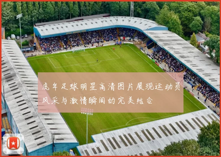 虎年足球明星高清图片展现运动员风采与激情瞬间的完美结合
