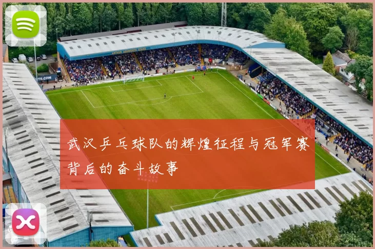 武汉乒乓球队的辉煌征程与冠军赛背后的奋斗故事