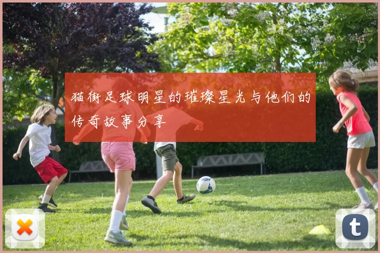 猫街足球明星的璀璨星光与他们的传奇故事分享