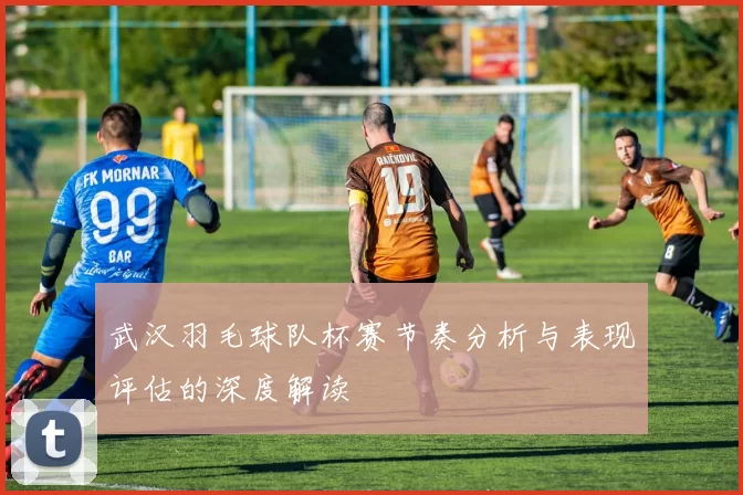 武汉羽毛球队杯赛节奏分析与表现评估的深度解读