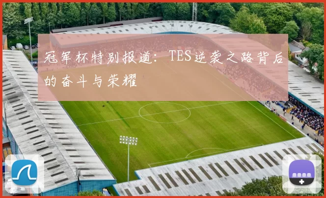 冠军杯特别报道：TES逆袭之路背后的奋斗与荣耀
