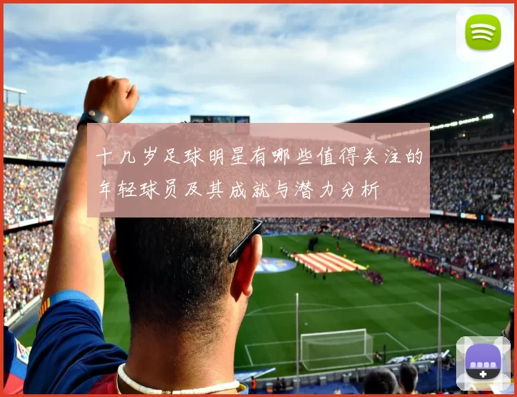 十几岁足球明星有哪些值得关注的年轻球员及其成就与潜力分析