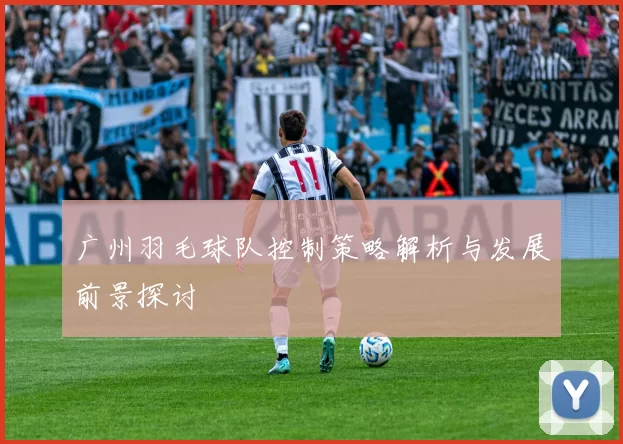 广州羽毛球队控制策略解析与发展前景探讨
