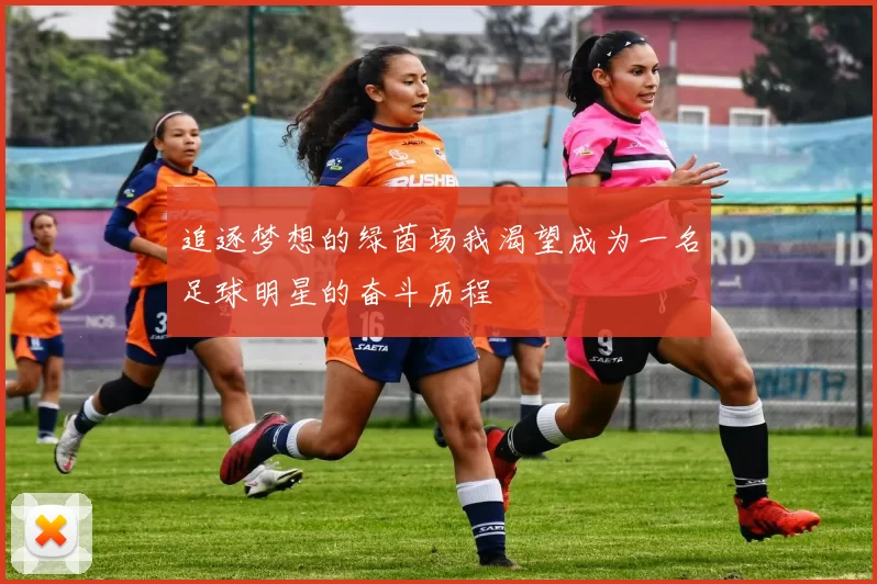 追逐梦想的绿茵场我渴望成为一名足球明星的奋斗历程