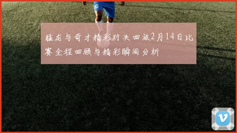 猛龙与奇才精彩对决回放2月14日比赛全程回顾与精彩瞬间分析
