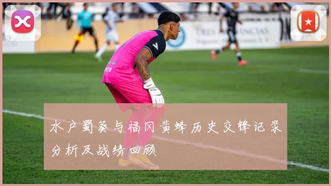 水户蜀葵与福冈黄蜂历史交锋记录分析及战绩回顾
