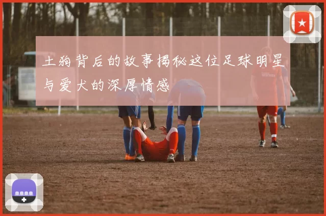 土狗背后的故事揭秘这位足球明星与爱犬的深厚情感