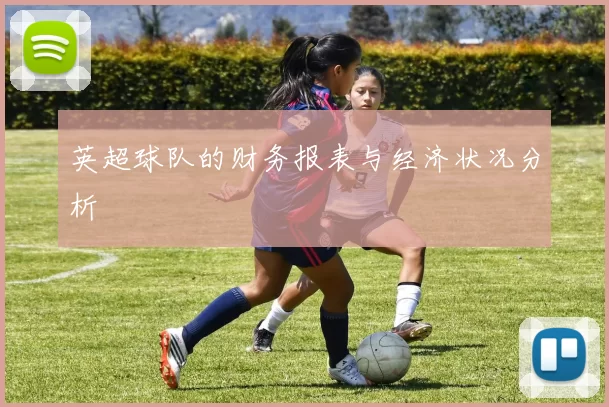 英超球队的财务报表与经济状况分析