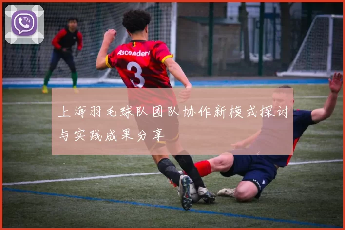 上海羽毛球队团队协作新模式探讨与实践成果分享