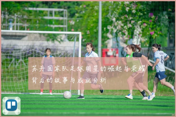 苏丹国家队足球明星的崛起与荣耀背后的故事与成就分析