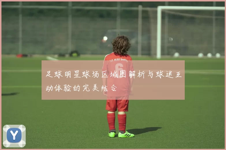 足球明星球场区域图解析与球迷互动体验的完美结合
