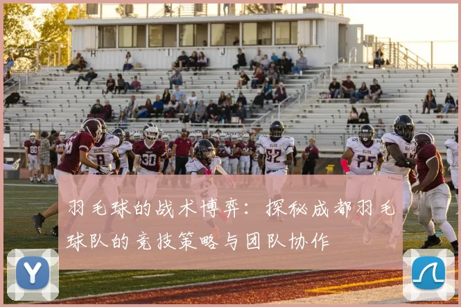 羽毛球的战术博弈：探秘成都羽毛球队的竞技策略与团队协作