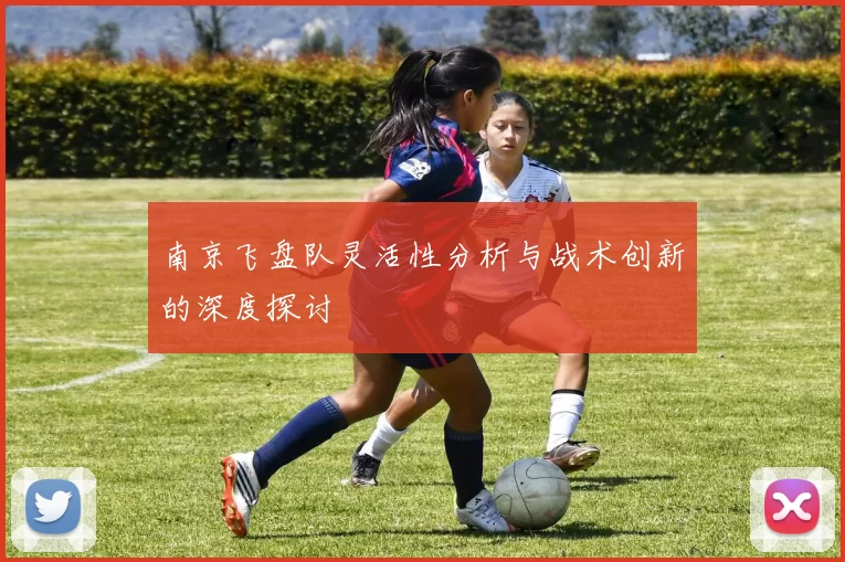 南京飞盘队灵活性分析与战术创新的深度探讨