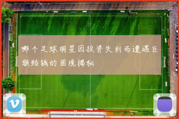 哪个足球明星因投资失利而遭遇巨额赔钱的困境揭秘