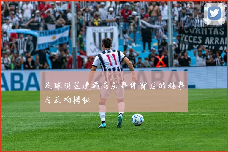 足球明星遭遇鸟屎事件背后的趣事与反响揭秘